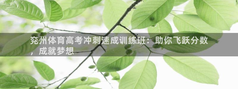 富联股份代码是多少：兖州体育高考冲刺速成训练班：助你